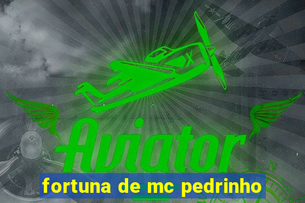 fortuna de mc pedrinho